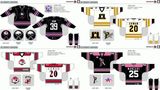 Customized American Hockey League Portland Pirates Hockey Jersey