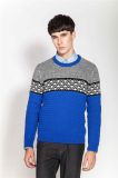 Winter Round Neck Knitting Pullover Sweater for Men