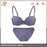 Underwire Ladies Panties Bra Underwear Set