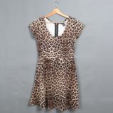 High Quality Leopard Print Plus Size Sexy Women Mini Dress