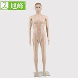 High Quality Low Price Male Mannequin for Clothes Display