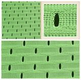 Sports Apparel 100% Cationic Polyester Mesh Jersey Fabric Wholesale
