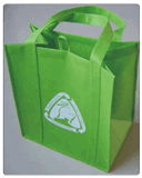 Custom Design Recycle Nonwoven Hand Shopping Bag for Promotion