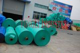 Plastic Tarpaulin Cover, PE Tarpaulin Sheet, Polyethylene Container Tarpaulin