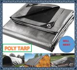 All Purpose Cover Tent Awning Lona PE Tarpaulin Poly Tarp