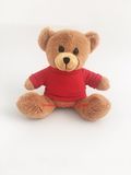 Plush Teddy Bear Cute Plush Teddy Bear with Red T-Shirt