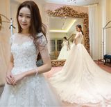 2017 New Arrival MID-Sleeves Ball Gown Pregnant Wedding Dress (Dream-100029)