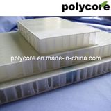 Stiffness Fiberglass Honeycomb Sandwich Panel