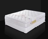 Luxury Bedroom Furniture Sleepwell Pocket Spring Mattress