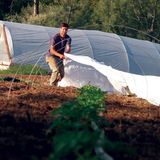 Crop Covers Polypropylene Spun Bonded Non-Woven Fabric UV Stabilised