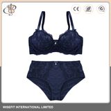 OEM Fashion Sexy Lace Bra Cotton Underwear