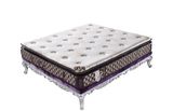 Ruierpu Furniture - Beds - Soft Sofa Beds - Bedroom Furniture - Hotel Furniture - Home Furniture - Latex Beds Mattresses