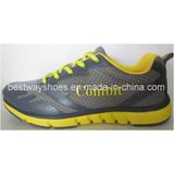 Mesh Fabric Sports Shoes Fashion Shoe Casual Shoes