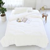 Incredibly Soft Hypoallergenic Polyester Comforter