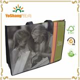 Fashion Children Cute Printing Laminated Non Woven Shopping Tote Bag