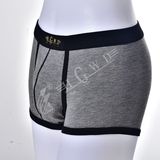 Men's Cotton Anti-Mite Underwear