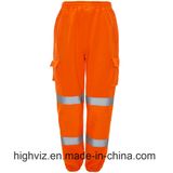 Safety Trousers with ANSI107 Standard (C2399)