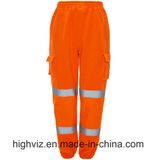 Safety Trousers with ANSI107 Standard (C2399)