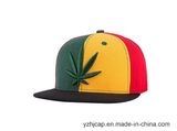 Baseball Cap Sport Cap  Snapback Cap