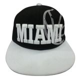 Best Sale Baseball Cap with Nice Logo (GJFP1764)