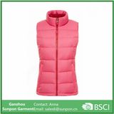 Beautiful Warm Cotton Padding Jacket for Women