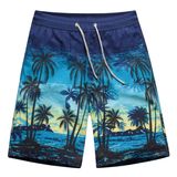 2017 Men Swimming Shorts Men' Briefs Beach Wear Shorts