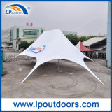 Outdoor Double Peak Canopy Star Shade Spider Tent for Sale