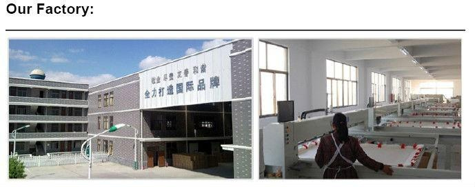 Polyester Filling Hotel Pillow (WWW-PY1)