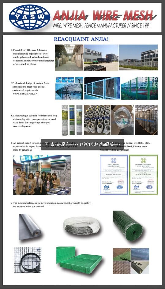 Electro Galvanized Binding Iron Wire for Building