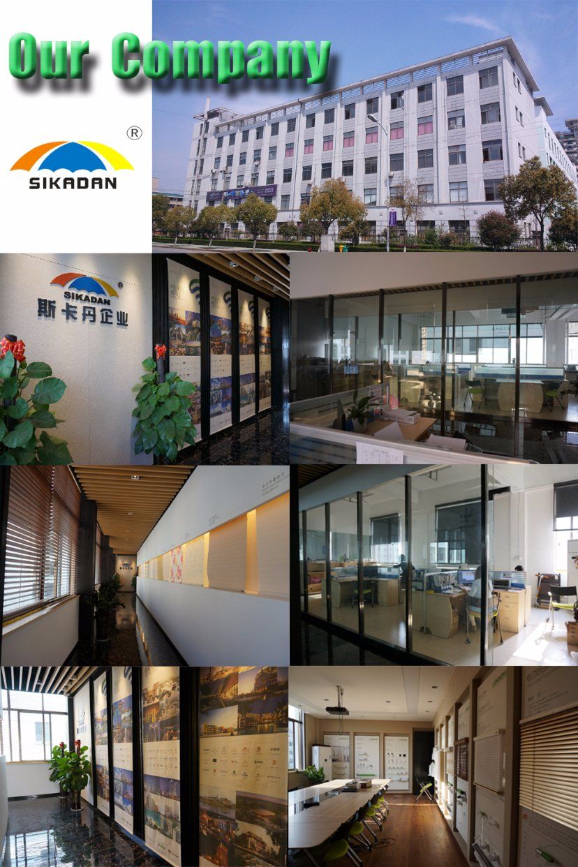 Blackout Sun Shade Curtain Plastic Chain Pull Double-Layer Roller Blinds Exterior Blinds for Windows